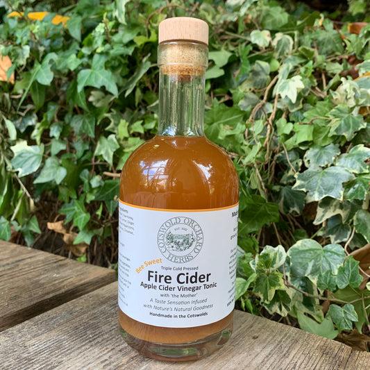 Front-facing Bee Sweet Fire Cider 350ml bottle – triple cold pressed apple cider vinegar tonic infused with natural ingredients, handmade in the Cotswolds, photographed in natural green setting