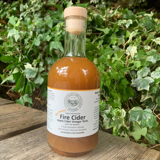 Front-facing Bee Sweet Fire Cider 500ml bottle – apple cider vinegar tonic with ‘the mother’, infused with natural goodness, handcrafted in the Cotswolds, set against leafy green backdrop