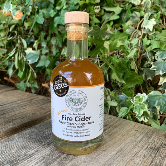 Front-facing G&T Boost Fire Cider 250ml bottle – award-winning apple cider vinegar tonic with Great Taste 2024 badge, handmade by Cotswold Orchard Herbs, photographed in natural garden setting”